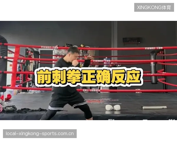 职业拳击选手提升刺拳节奏，比赛控制力增强