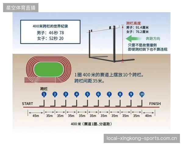 跨栏队伍提升栏间节奏一致性
